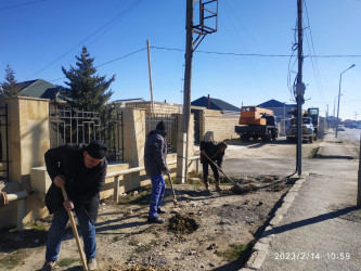 Puta qəsəbəsində yeni ağaclar əkilir