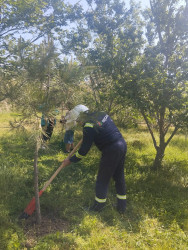 Qaradağ rayonunda keçirilən ümumrayon İməcliyində Ə.Əmirov adına Neft Qazçıxarma İdarəsinin (NQÇİ) kollektivi də yüksək fəallıq göstərib