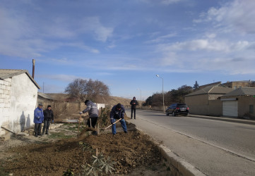 Qaradağ rayonunda yeni ağacların əkilməsi üçün hazırlıq işləri görülür