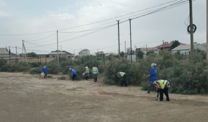 Qaradağ rayonunda təmizlik işləri görülür