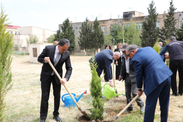 Ümummilli Lider Heydər Əliyevin anadan olmasının 103-cü ildönümünə həsr olunmuş ağacəkmə kompaniyası keçirilmişdir