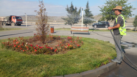 Qobustan qəsəbəsində təmizlik və abadlıq işləri aparıldı