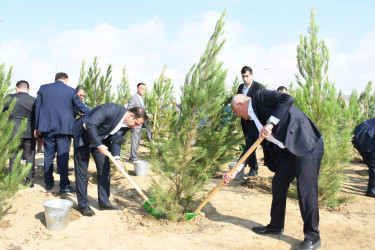 Qaradağ rayonunda 27 Sentyabr – Anım Gününə həsr olunmuş ağacəkmə aksiyası keçirilib