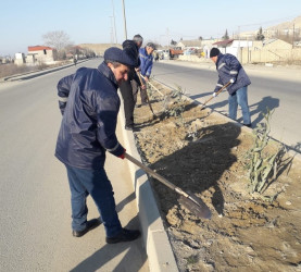 Qaradağ rayonunda yeni ağaclar əkilir