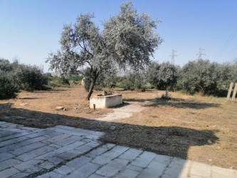 Qaradağ rayonunda Sanqaçal karvansarayında monitorinq, təmizlik və abadlıq işləri həyata keçirilib