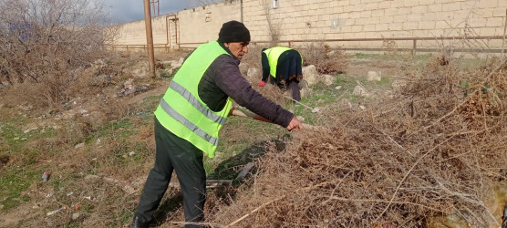 Qobustan qəsəbəsi ərazisində təmizlik işləri aparılmışdır.