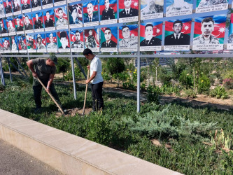 Sədərək TM-nin kollektivi Qaradağ Rayon İcra Hakimiyyətinin təşəbbüsü ilə keçirilən iməcliyə qoşuldu