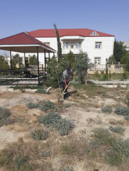 Bakı Regional Qaz İstismar Departamentinin Qaradağ Rayonu üzrə Texniki Xidmət Sahəsi Ulu Öndər Heydər Əliyevin anadan olmasının 100-cü ildönümü ilə bağlı Qaradağ Rayon İcra Hakimiyyətinin təşəbbüsü ilə keçirilən ümumrayon iməcliyə qoşuldu