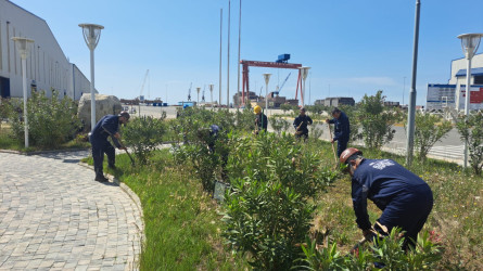 Bakı Gəmiqayırma Zavodu Qaradağ rayonunda keçirilən ümumrayon iməcliyində fəal iştirak edib