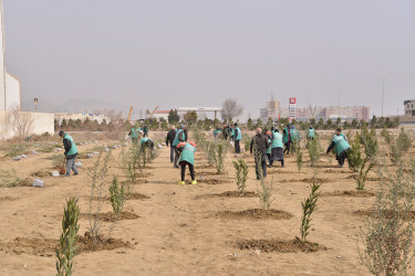 Ulu Öndər Heydər Əliyevin 100 illiyinə həsr olunmuş ağacəkilmə aksiyası davam edir