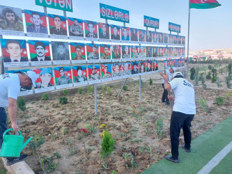 Sədərək Ticarət Mərkəzi Qaradağ Rayon İcra Hakimiyyətinin təşəbbüsü ilə keçirilən iməcliyə qoşuldu