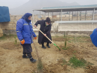 Korgöz qəsəbə qəbristanlığında növbəti ağac əkmə işləri görüldü