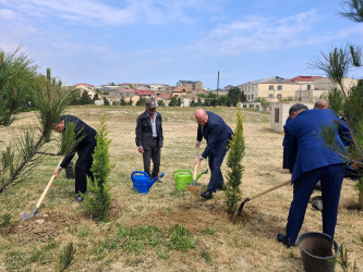 Ümummilli Lider Heydər Əliyevin anadan olmasının 103-cü ildönümünə həsr olunmuş ağacəkmə kompaniyası keçirilmişdir