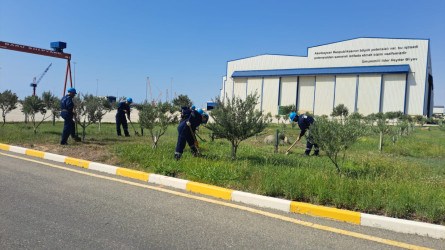 Gəmiqayırma Zavodu Qaradağ Rayon İcra Hakimiyyətinin təşəbbüsü ilə keçirilən ümumrayon iməcliyə qoşuldu