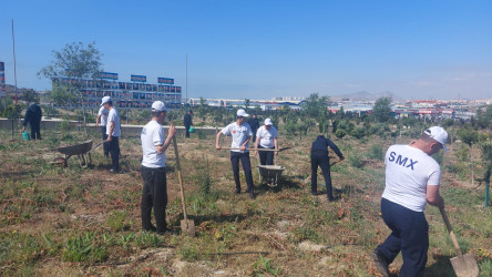 Sədərək Ticarət Mərkəzi Qaradağ rayonunda keçirilən ümumrayon iməcliyində fəal iştirak edib
