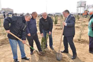 Ulu Öndər Heydər Əliyevin 100 illiyinə həsr olunmuş ağacəkilmə aksiyası davam edir