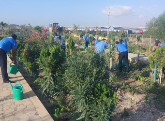 Sədərək Ticarət Mərkəzi Qaradağ Rayon İcra Hakimiyyətinin təşəbbüsü ilə keçirilən ümumrayon iməcliyinə qoşuldu