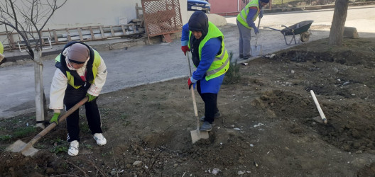 Qaradağ rayonu Müşviqabad qəsəbəsində təmizlik işləri aparılmışdır.