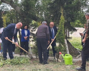 Ümummilli Lider Heydər Əliyevin anadan olmasının 103-cü ildönümünə həsr olunmuş ağacəkmə kompaniyası keçirilmişdir