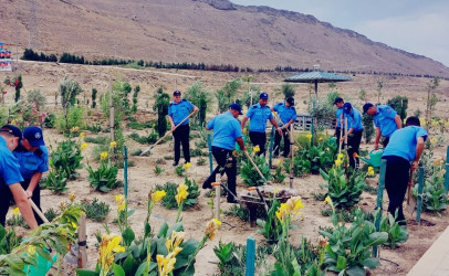 Sədərək Ticarət Mərkəzi Qaradağ Rayon İcra Hakimiyyətinin təşəbbüsü ilə keçirilən iməcliyə qoşuldu