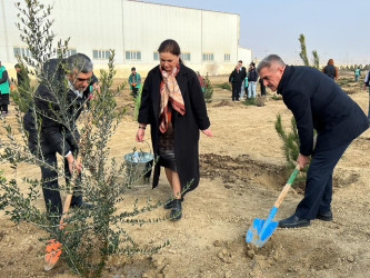 Heydər Əliyevin 100 illiyinə həsr olunmuş ağacəkilmə aksiyası davam edir