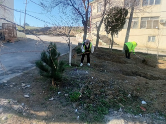 Qaradağ rayonu Müşviqabad qəsəbəsində təmizlik işləri aparılmışdır.
