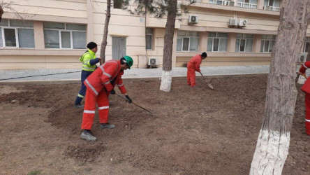 BOS ŞELF MMC-də Ulu Öndər Heydər Əliyevin anadan olmasının 100-cü ildönümü ərəfəsində iməcilik keçirilib