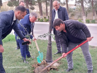 "Zəfərin mübarək, Azərbaycan" adlı tədbir keçirildi