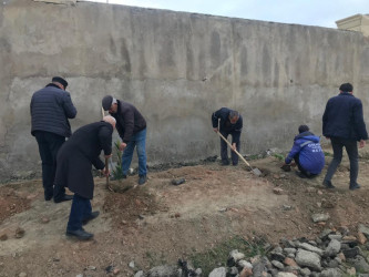 Qobustan qəsəbəsində yeni tikilən parkda abadlıq və həmişə yaşıl ağaclar əkilir