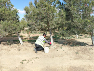 Sanqaçal qəsəbəsində ümumrayon iməcliyi keçirilib