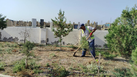 “Şəhərsalma və Memarlıq ili” çərçivəsində Ələt qəsəbəsi ərazisində təmizlik və abadlıq işləri aparılmışdır.