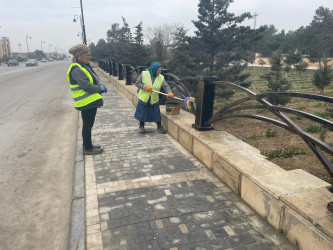 Qaradağ rayonunda təmizlik işləri görülür