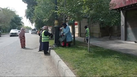 “Şəhərsalma və Memarlıq ili” çərçivəsində Qaradağ rayonu Sahil qəsəbəsində təmizlik işləri keçirilmişdir.