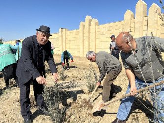 Ulu Öndər Heydər Əliyevin 100 illiyinə həsr olunmuş ağacəkilmə aksiyası davam edir