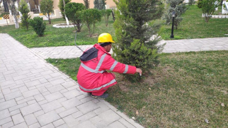 BOS ŞELF MMC-də Ulu Öndər Heydər Əliyevin anadan olmasının 100-cü ildönümü ərəfəsində iməcilik keçirilib