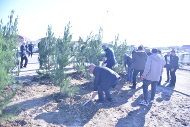 8 Noyabr - Zəfər Günü münasibətilə, eyni zamanda 2024-cü il "Yaşıl dünya naminə həmrəylik ili" elan olunması ilə əlaqədar “Ağacəkmə kampaniyası” keşirildi