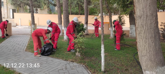 BOS SHELF da Qaradağ Rayon İcra Hakimiyyətinin təşəbbüsü ilə keçirilən iməcliyə qoşuldu