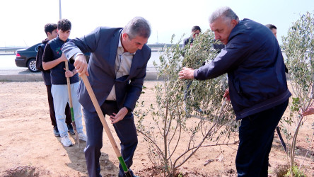 Görkəmli oftalmoloq Zərifə xanım Əliyevanın 100 illiyinə həsr olunmuş ağacəkilmə aksiyası davam edir