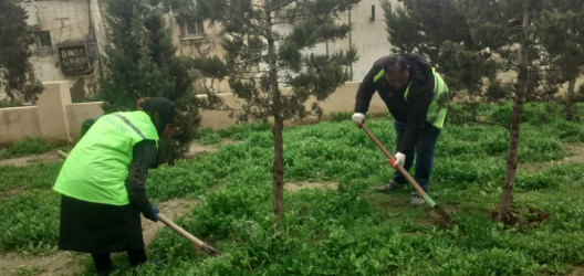 Qaradağ rayonu Müşviqabad qəsəbəsi ərazisində təmizlik və abadlıq işləri aparılmışdır