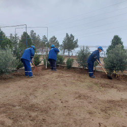 Qaradağ rayonunda faəliyyət göstərən idarə və müəssisələr də iməcliyə qoşulublar