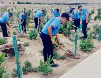 Sədərək Ticarət Mərkəzi Qaradağ Rayon İcra Hakimiyyətinin təşəbbüsü ilə keçirilən iməcliyə qoşuldu