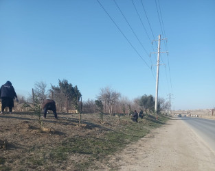 Qaradağ rayonunda təmizlik işləri görülür