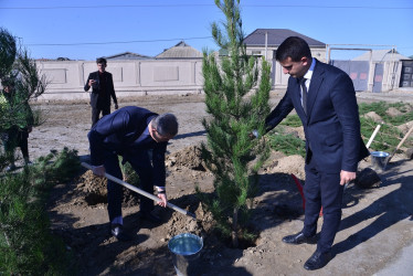 8 Noyabr - Zəfər Günü münasibətilə, eyni zamanda 2024-cü il "Yaşıl dünya naminə həmrəylik ili" elan olunması ilə əlaqədar “Ağacəkmə kampaniyası” keşirildi