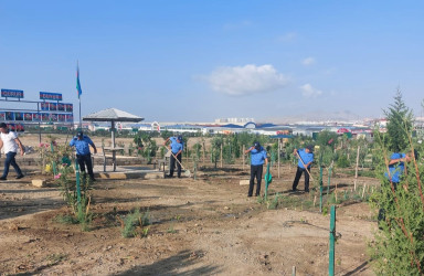 Sədərək Ticarət Mərkəzi Qaradağ Rayon İcra Hakimiyyətinin təşəbbüsü ilə keçirilən ümumrayon iməcliyinə qoşuldu