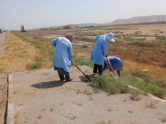 Qobustan qəsəbəsində yol kənarında alaqlardan təmizlənmə işləri aparılır