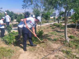 Sədərək Ticarət Mərkəzi Qaradağ rayonunda keçirilən ümumrayon iməcliyində fəal iştirak edib