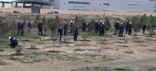 Bakı Gəmiqayırma Zavodu Qaradağ Rayon İcra Hakimiyyətinin təşəbbüsü ilə keçirilən iməcliyə qoşuldu