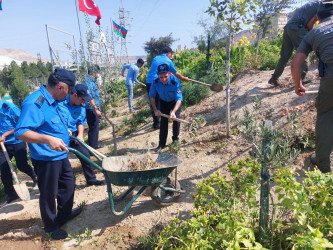 Sədərək TM-nin kollektivi Qaradağ Rayon İcra Hakimiyyətinin təşəbbüsü ilə keçirilən iməcliyə qoşuldu