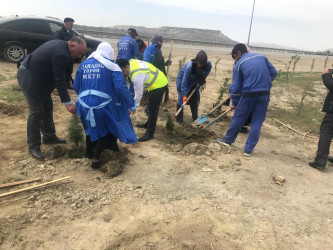 Qaradağ rayonunda iməclik davam etdirilir