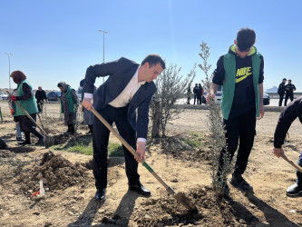 Ulu Öndər Heydər Əliyevin 100 illiyinə həsr olunmuş ağacəkilmə aksiyası davam edir